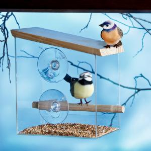 Transparentes Fenster-Vogelhaus
