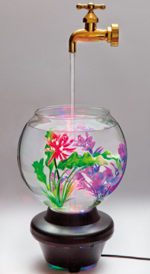 Magisches Aquarium