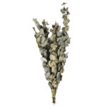 Eukalyptus Zweige künstlich, täuschend echte Kunstpflanze, braun, grün, 85 gr