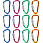 Buntes Mini-Karabiner-Set mit Schraubverschluss, 12-tlg.