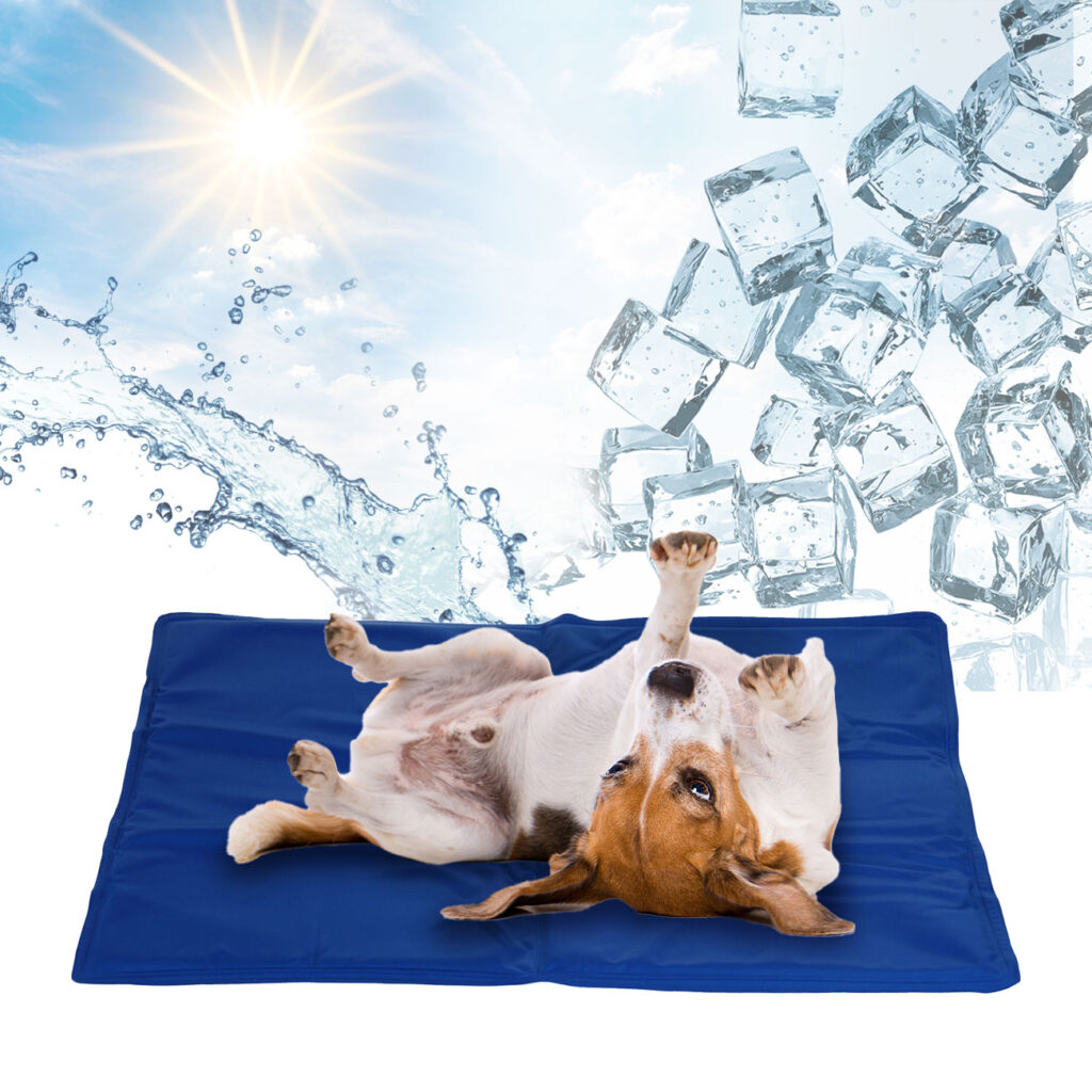 Hunde-Kühlmatte, mittel, Gel-Füllung, blau, 50 x 65 cm Hunde-Kühlmatte, mittel, Gel-Füllung, blau, 50 x 65 cm