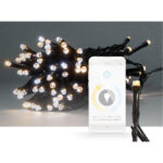 SmartLife LED Lichterkette, 50 LEDs, warmweiss/kaltweiss, 11 Lichtmuster, IP65, 5 m