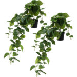 2er-Set Künstliche Hängepflanze, 80 cm