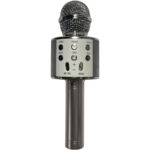 Bluetooth Karaoke-Mikrofon & Lautsprecher mit verschiedenen Stimmeffekten & Echo, silber