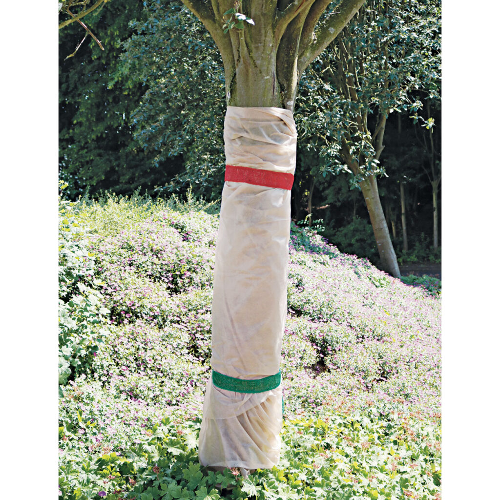 Winterschutzvlies, 5 x 1,5 m, Pflanzenschutzvlies
