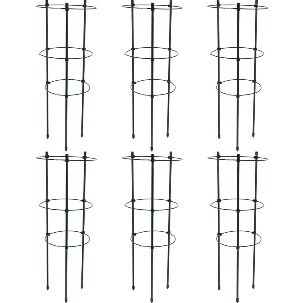 6er-Set Pflanzenstütze, rund, 60 x Ø 21 cm