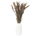 Setaria Wildhirse, Bund 150 g, dunkelgrün, Länge 50 – 70 cm