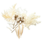 Set aus natürlichen Trockenblumen, weiss & beige, 30 g