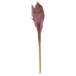 Pampasgras im 6er-Bund, Trockenblumen Deko in Vasen oder Gestecken, helllila, 70 – 75 cm