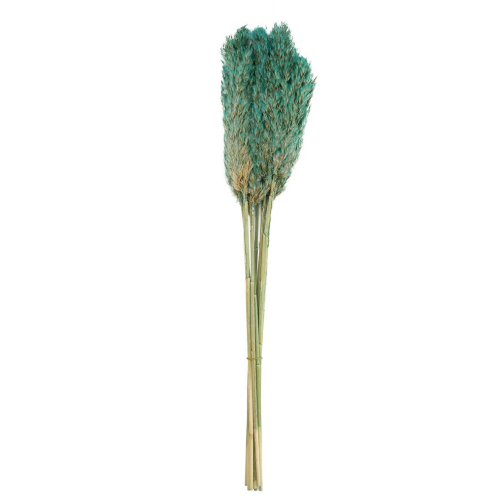 Pampasgras im 10er-Bund, Trockenblumen Deko in Vasen oder Gestecken, hellgrün, 75 cm Pampasgras im 10er-Bund, Trockenblumen Deko in Vasen oder Gestecken, hellgrün, 75 cm