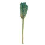 Pampasgras im 10er-Bund, Trockenblumen Deko in Vasen oder Gestecken, hellgrün, 75 cm