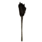 Pampasgras im 10er-Bund, Trockenblumen Deko in Vasen oder Gestecken, schwarz, 75 cm