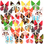 2er-Set Scherzartikel „Flatternder Schock-Schmetterling“,  je 12er-Set