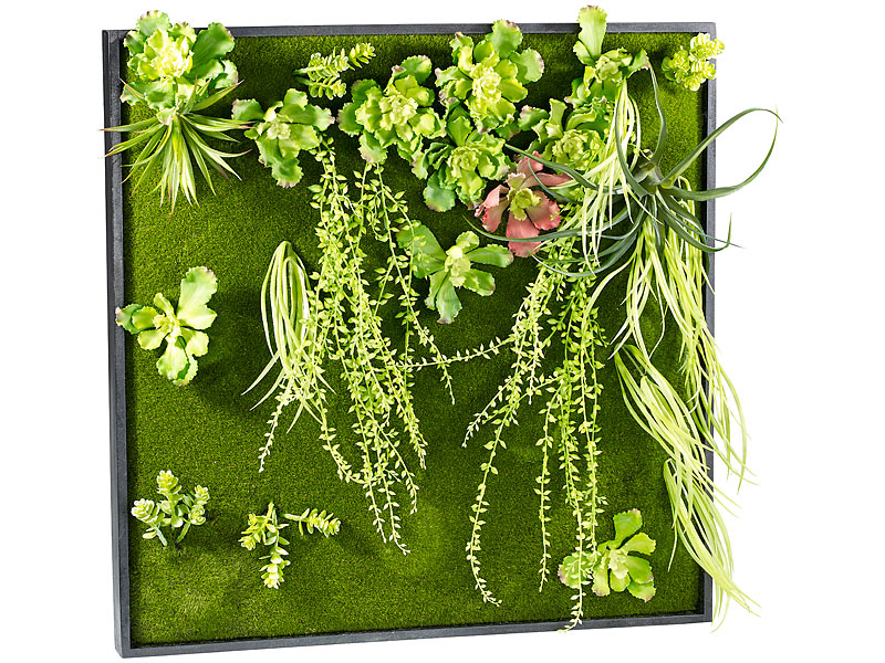 Vertikaler Wandgarten Kurt mit Deko-Pflanzen, 60 x 60cm Vertikaler Wandgarten Kurt mit Deko-Pflanzen, 60 x 60cm