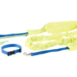4in1-Hundeleinen-Set mit Signal-Überzug, Halsband & Trainigs-Leine