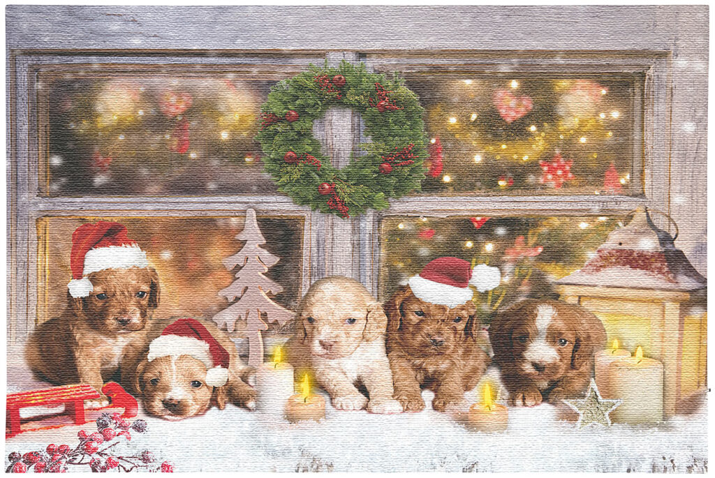 LED-Wandbild, Weihnachts-Hundewelpen-Motiv, 5 Flacker-LEDs, 60 x 40 cm LED-Wandbild, Weihnachts-Hundewelpen-Motiv, 5 Flacker-LEDs, 60 x 40 cm