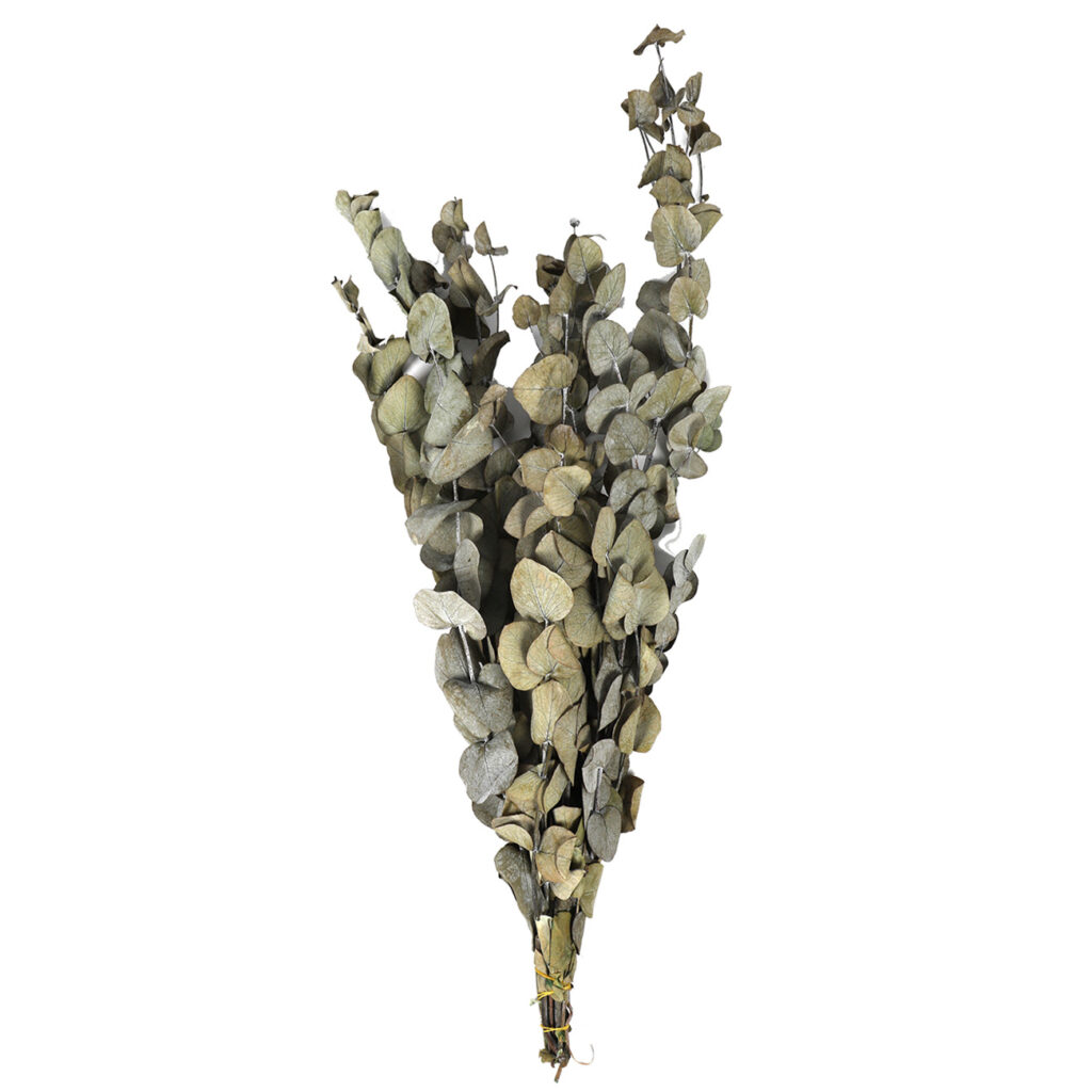 Eukalyptus Zweige künstlich, täuschend echte Kunstpflanze, braun, grün, 85 gr