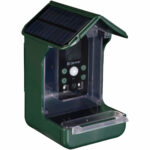 Vogel-Futterhaus mit Kamera und Solarpanel