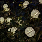 2er-Set LED-Lichterkette, Solar, warmweiss, mit 20 weissen Lampions, L 3,8 m