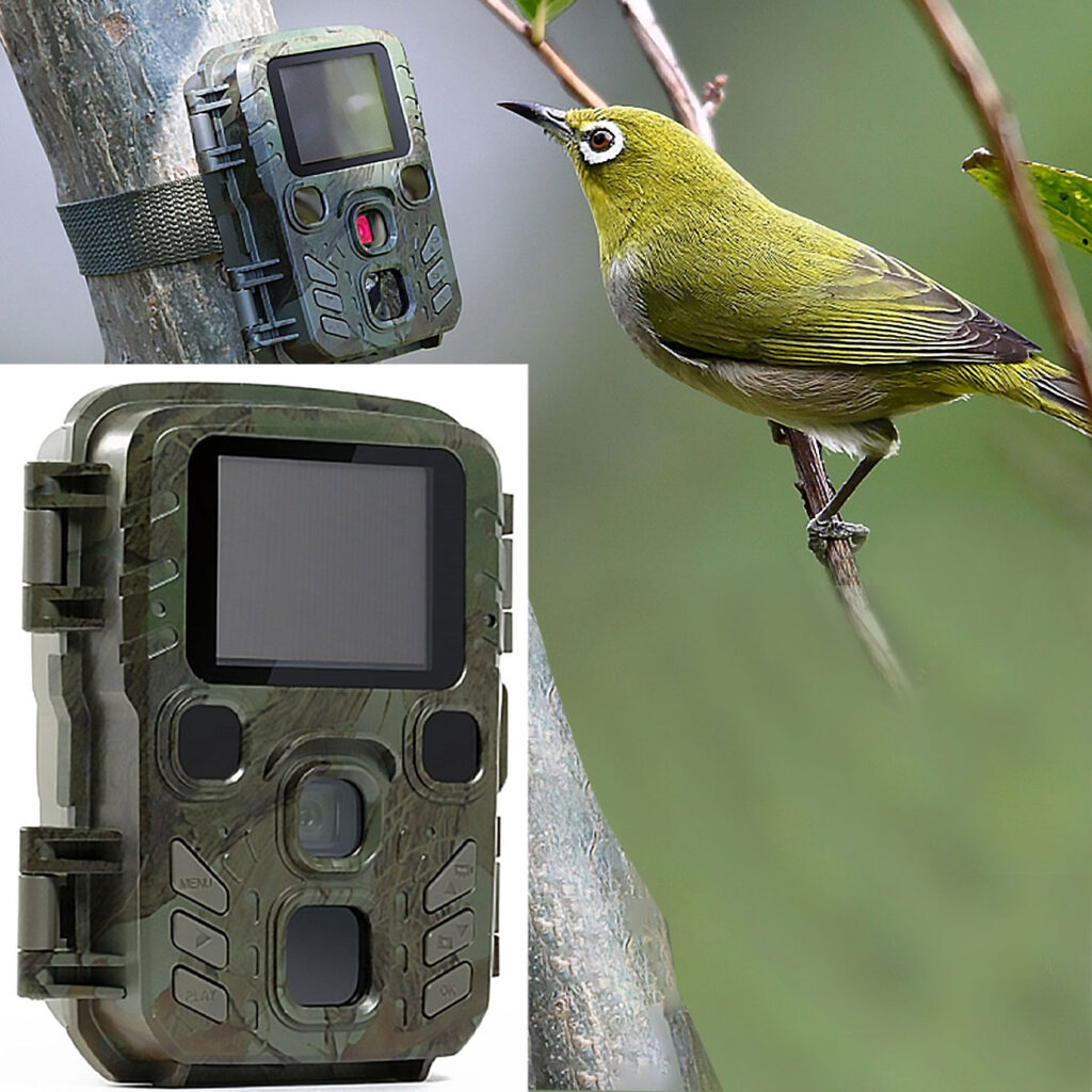 Mini-Wildkamera mit Full-HD-Videoauflösung, Jagdkamera mit PIR-Sensor, 8,7 x 4,4 x 10,7 cm