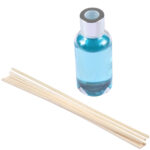 Raumduft, Meer/Sea, mit Stäbchen, 30ml