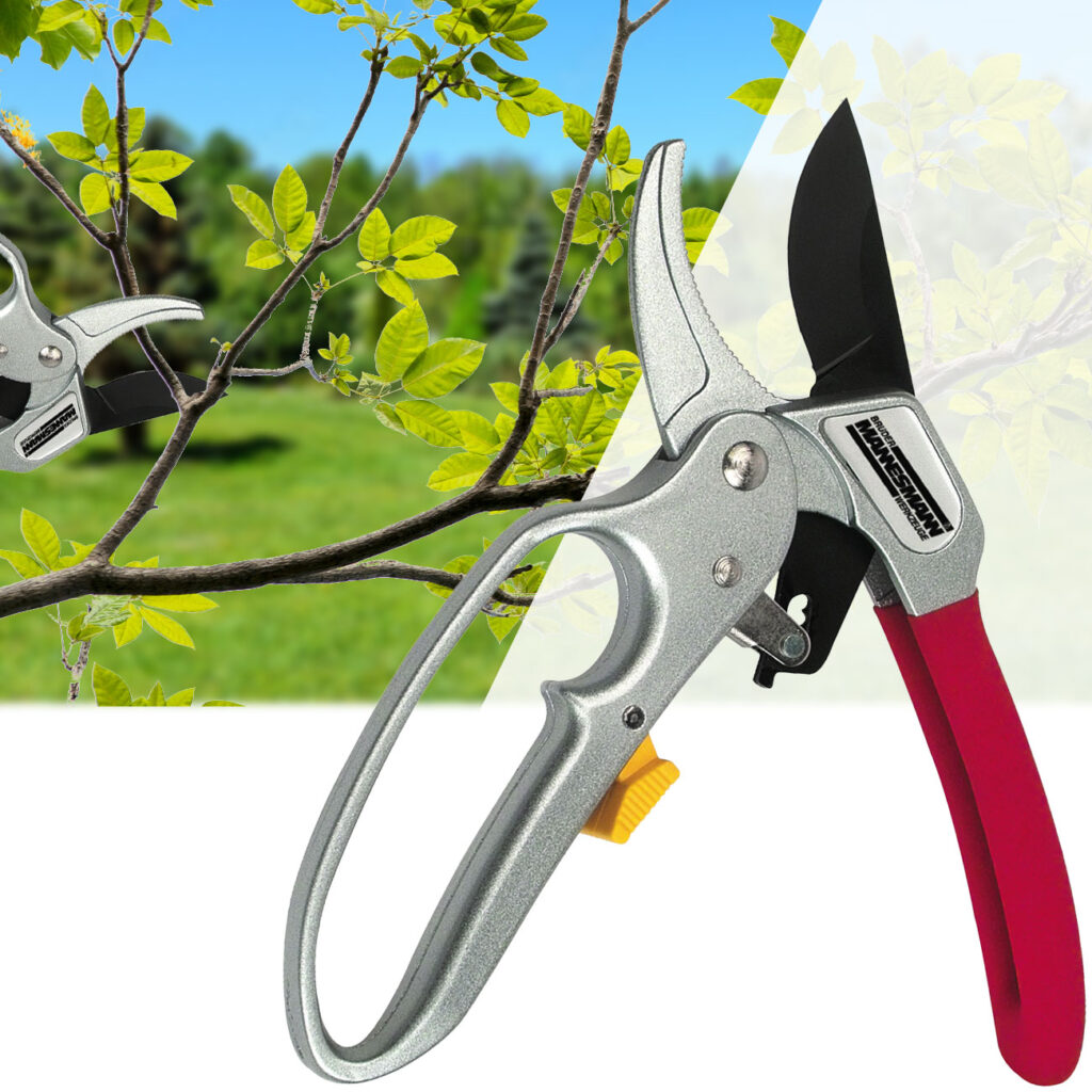 Ratschen-Gartenschere, 25 x 9,5 x 2 cm Ratschen-Gartenschere, 25 x 9,5 x 2 cm