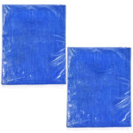 2er-Set Abdeck-Plane, 2 x 3m, blau