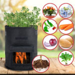 XL-Pflanzen-Wachstumssäcke, 2er-Set, mit Tragegriffen und Sichtfenster, je 38 l