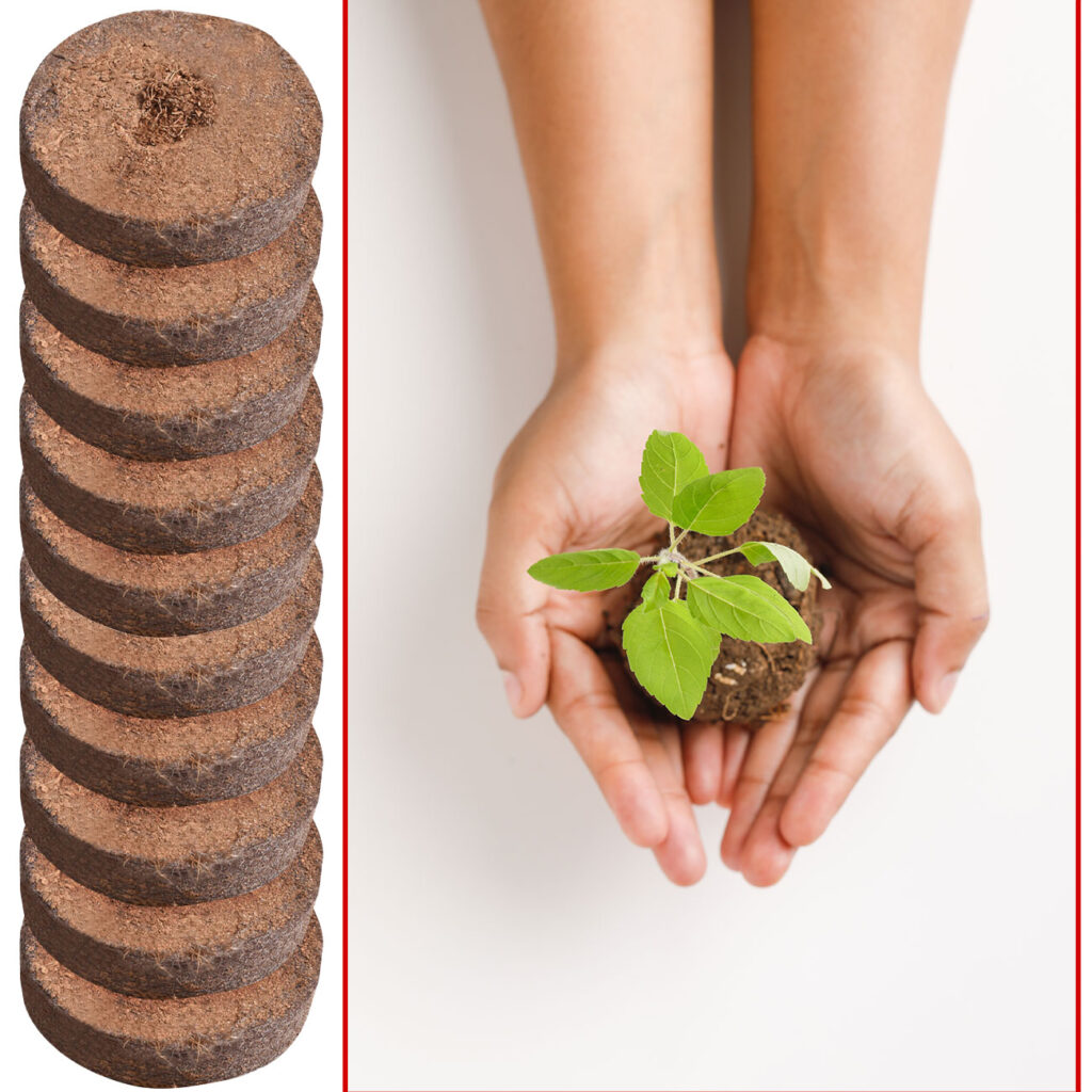 10er-Set Kokos-Quelltabletten für die Pflanzenanzucht, biolog. abbaubar