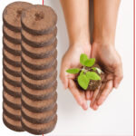 20er-Set Kokos-Quelltabletten für die Pflanzenanzucht, biolog. abbaubar