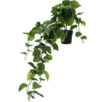 Künstliche Hängepflanze, 80 cm