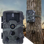 Full-HD-Wildkamera mit 3 Bewegungssensoren, Serienbild- & Zeitraffer-Funktion & Nachtsicht