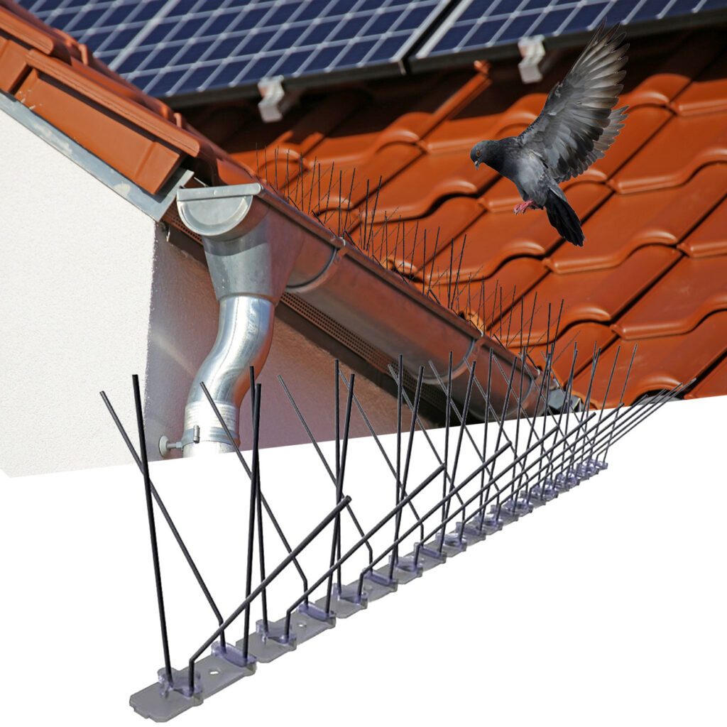 10er-Set Spikes zur Taubenabwehr, 4-reihig mit Edelstahl-Spitzen, 5 m