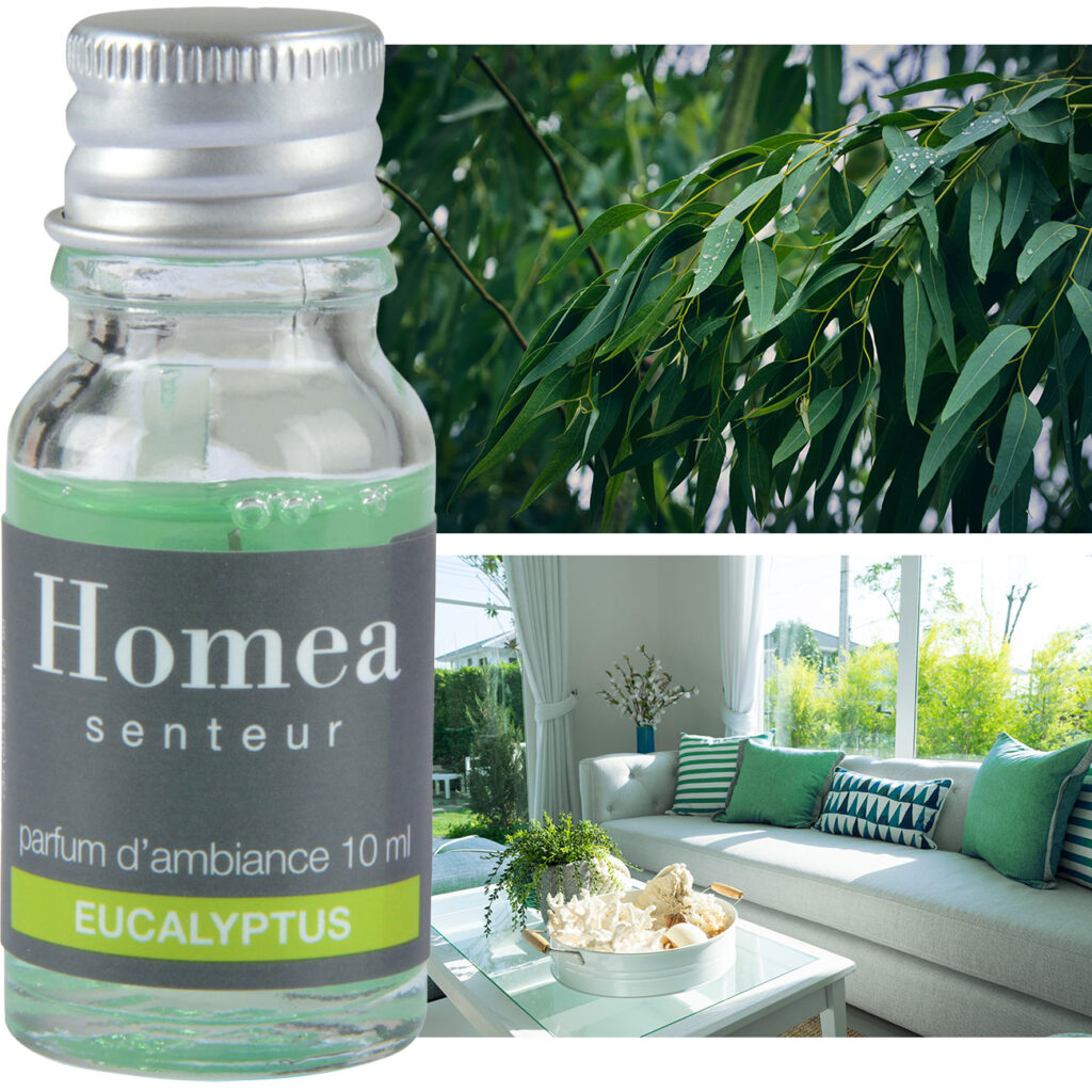 Duftöl Eukalyptus, Raumduft, 10ml Duftöl Eukalyptus, Raumduft, 10ml