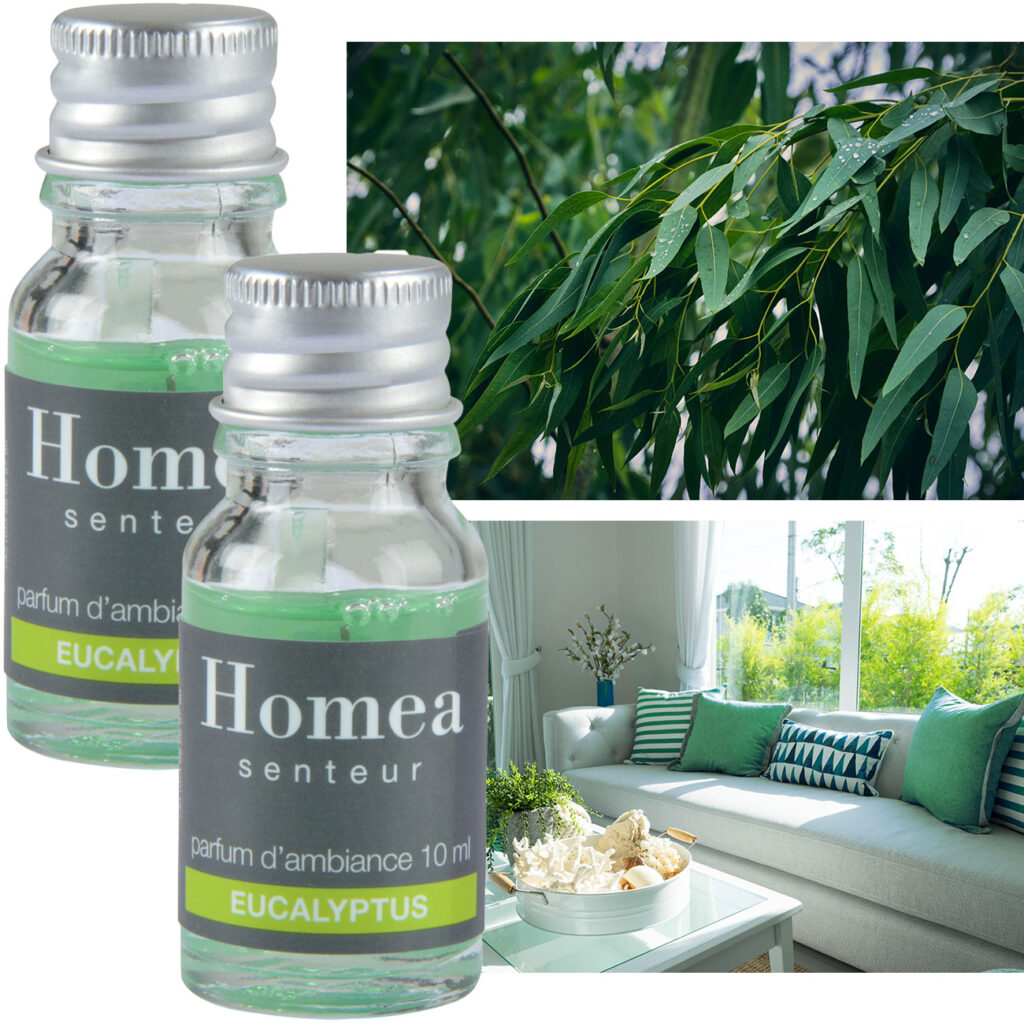 2er-Set Duftöl Eukalyptus, Raumduft, je 10ml