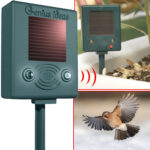 Vogelschreck mit Ultraschall und Blitz, solarbetrieben, bis zu 150 m²