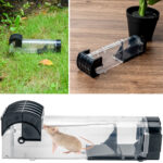 Lebendfalle für Mäuse, wiederverwendbar, transparent Lebendfalle für Mäuse, wiederverwendbar, transparent
