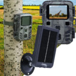 Kompakte Full-HD-Wildkamera mit Bewegungssensor und Nachtsicht inkl. Akku Solarpanel