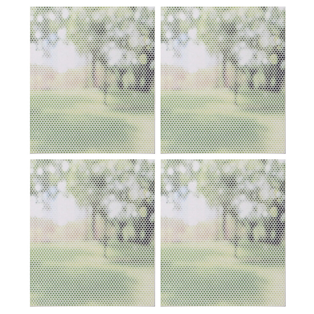 4er-Set Fliegenschutzgitter für Fenster, zuschneidbar, weiss, 150 x 250 cm 4er-Set Fliegenschutzgitter für Fenster, zuschneidbar, weiss, 150 x 250 cm