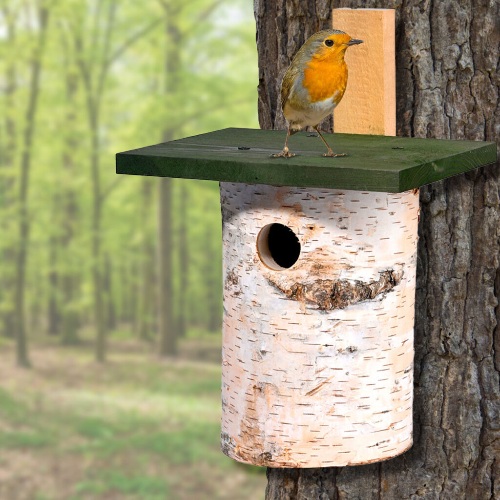 Nistkasten aus Birkenholz für kleine Wildvögel Nistkasten aus Birkenholz für kleine Wildvögel