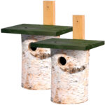 2er-Set Nistkasten aus Birkenholz für kleine Wildvögel