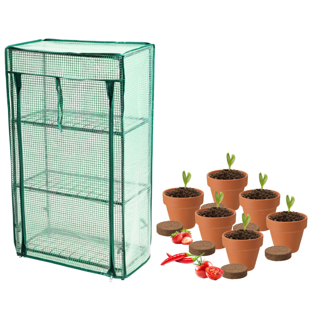 Mini Gewächshaus mit Anzuchtset – Tomate, Erdbeer und Chilis