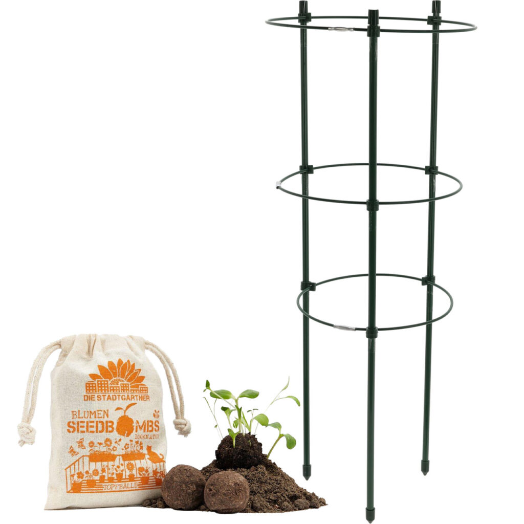 Pflanzenstütze & Samenbomben für Garten Pflanzenstütze & Samenbomben für Garten