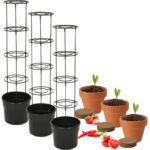3er-Set Pflanzkübel mit Rankhilfe, inkl. Pflanz-Set Tomate, Erdbeere und Chilli