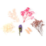 Set aus natürlichen Trockenblumen, rosa, 30 g