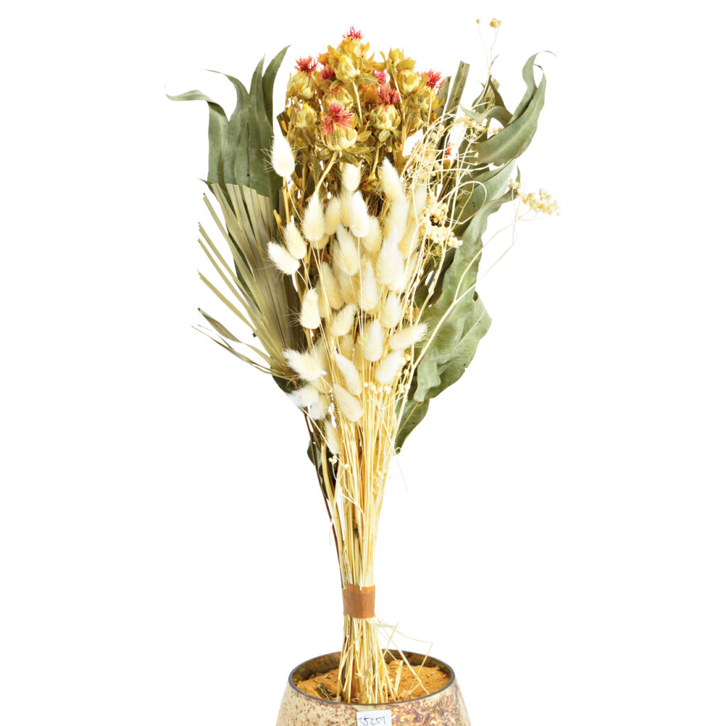 Trockenblumenstrauss aus Naturmaterial, bunt, 50 cm