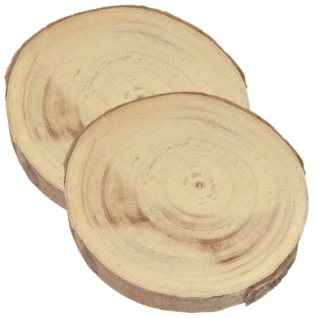 2er-Set Untersetzer aus Holz, Baumstamm Scheiben als Dekoration aus Holz, 20 x 20 x 3 cm