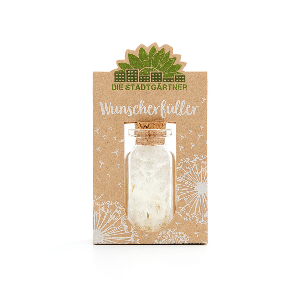 Wunscherfüller Glas mit Korkverschluss, natürliche Pusteblume im Glas, mittel
