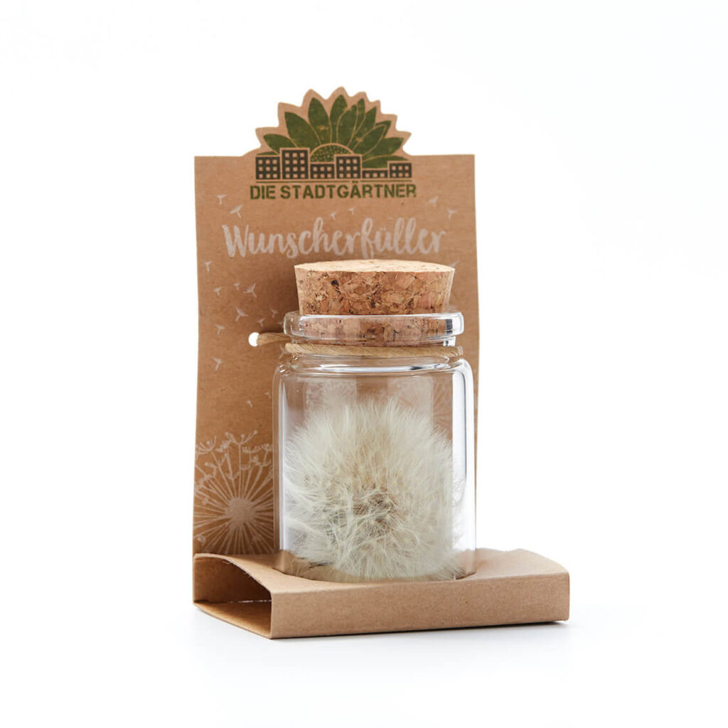 Wunscherfüller Glas mit Korkverschluss, natürliche Pusteblume im Glas, gross
