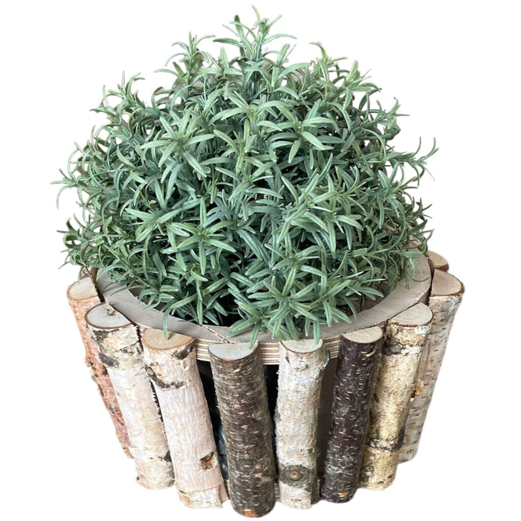 Pflanztopf aus Birkenholz, rund, Ø 18,5 x H 10 cm